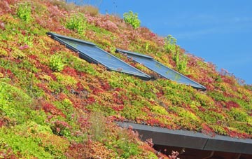 Burrelton living roof systems