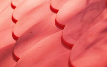 Burrelton plastic roof costs