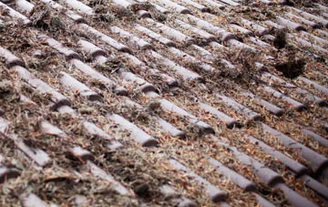 Burrelton roof cleaning companies