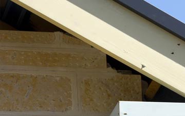 soffit repair Burrelton