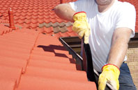 Burrelton roof cleaners